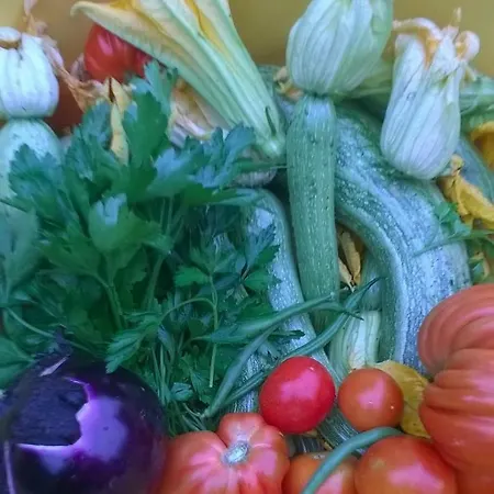 Alloggio per agriturismo La Chabranda