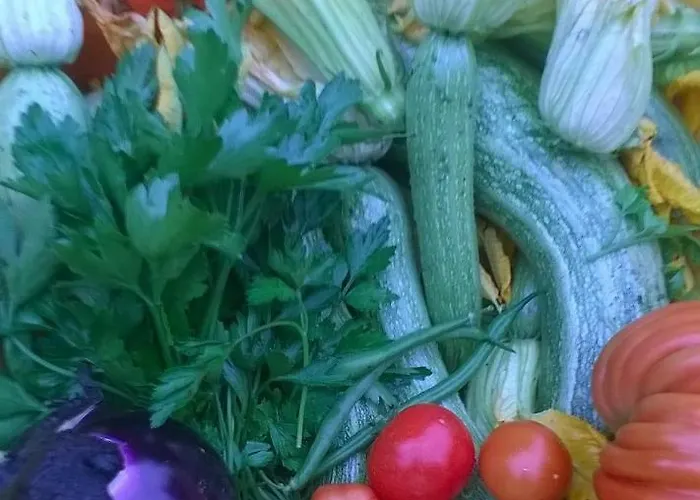 Çiftlik konaklama La Chabranda